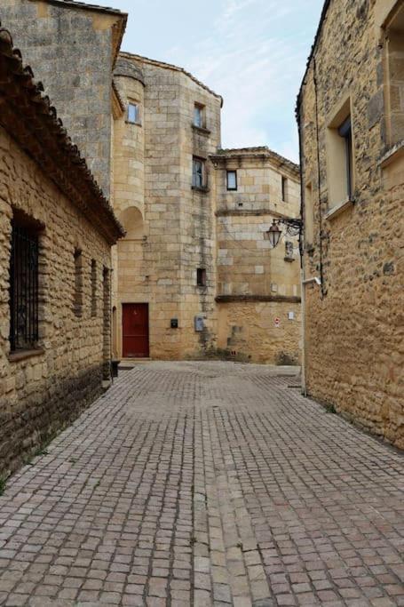 カスティヨン・デュ・ガールEntre Uzes Et Le Pont-Du-Gard Le Logis D'Autrefoisアパートメント エクステリア 写真