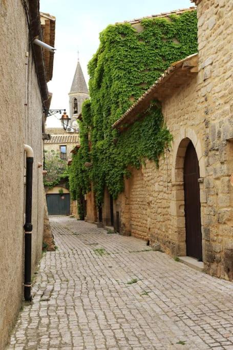 カスティヨン・デュ・ガールEntre Uzes Et Le Pont-Du-Gard Le Logis D'Autrefoisアパートメント エクステリア 写真