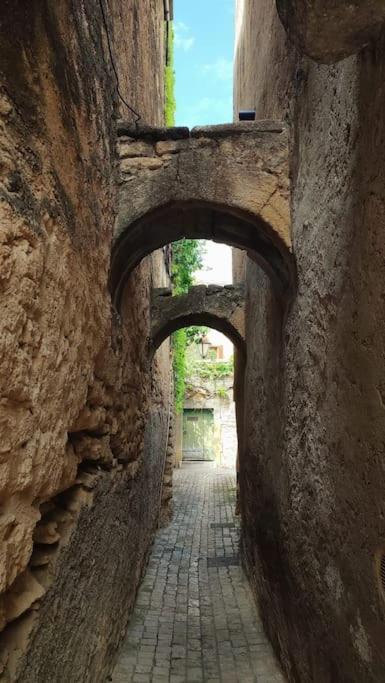 カスティヨン・デュ・ガールEntre Uzes Et Le Pont-Du-Gard Le Logis D'Autrefoisアパートメント エクステリア 写真
